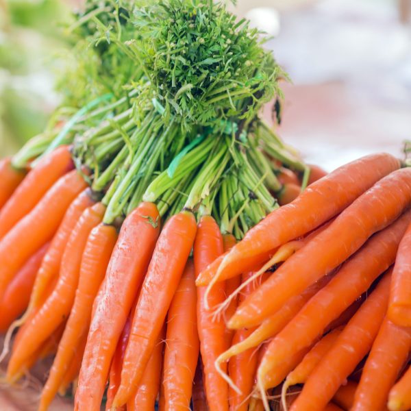 Carrots. Fresh organic carrots. Fresh garden carrots. Bunch of fresh organic carrots at market.